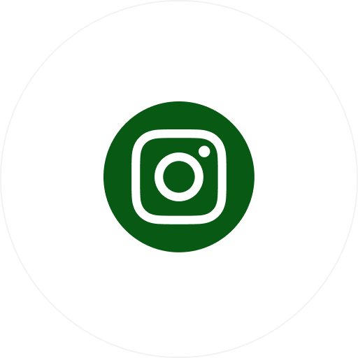 Icono instagram